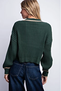Collared V-Neck Polo Sweater - Multiple Colors