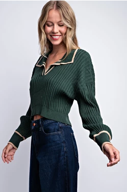 Collared V-Neck Polo Sweater - Multiple Colors