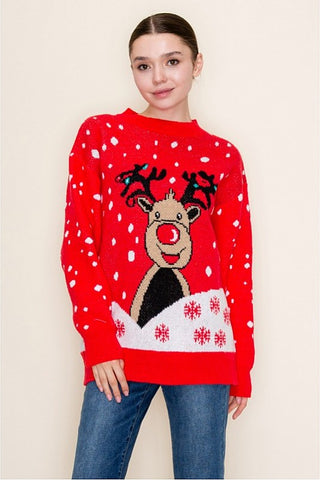 Rudolph Red Holiday Sweater
