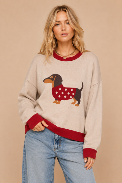 J.NNA - Dachshund Colorblock Sweater