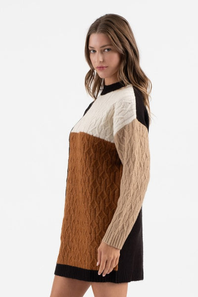 Woman wearing a color-blocked sweater dress with white, brown, and black sections on a white background.