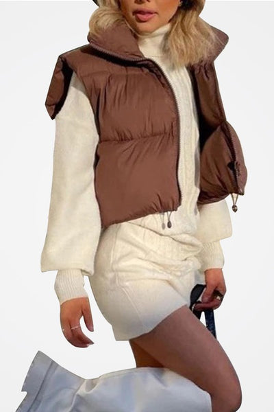 Dark Brown Puffy Vest