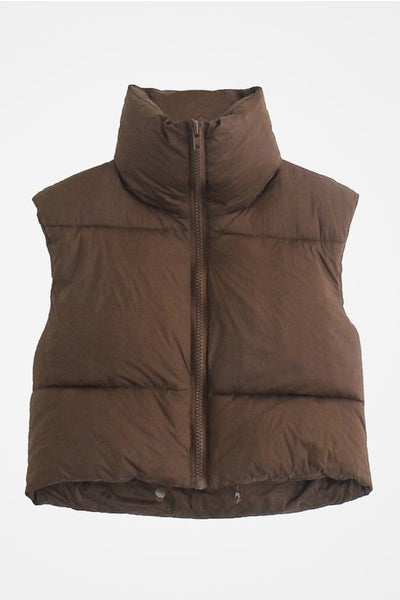Dark Brown Puffy Vest