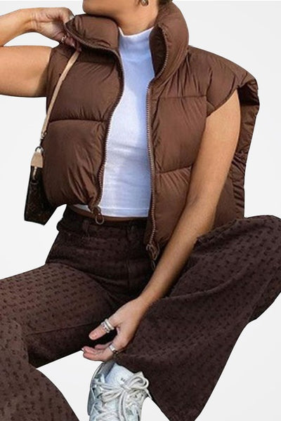 Dark Brown Puffy Vest