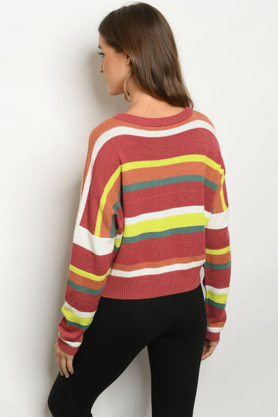 Multi Striped Sweater back view